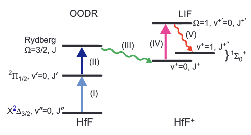 Laser-induced fluorescence studies of HfF$^+$ produced by autoionization