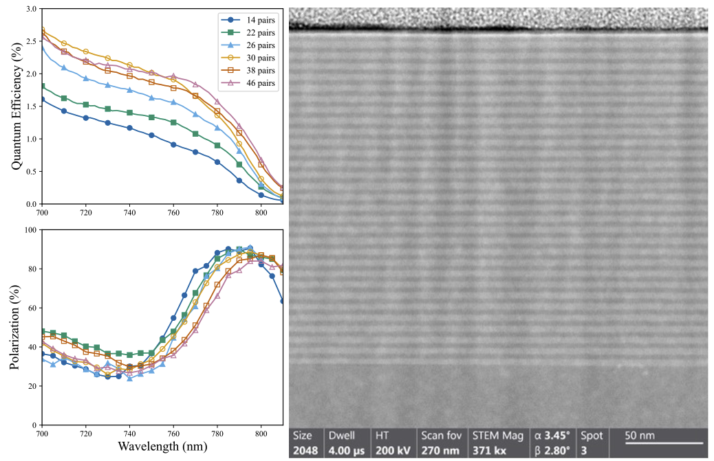 Impact of superlattice size on quantum efficiency and polarization in MOCVD-grown strained GaAs/GaAsP photocathodes