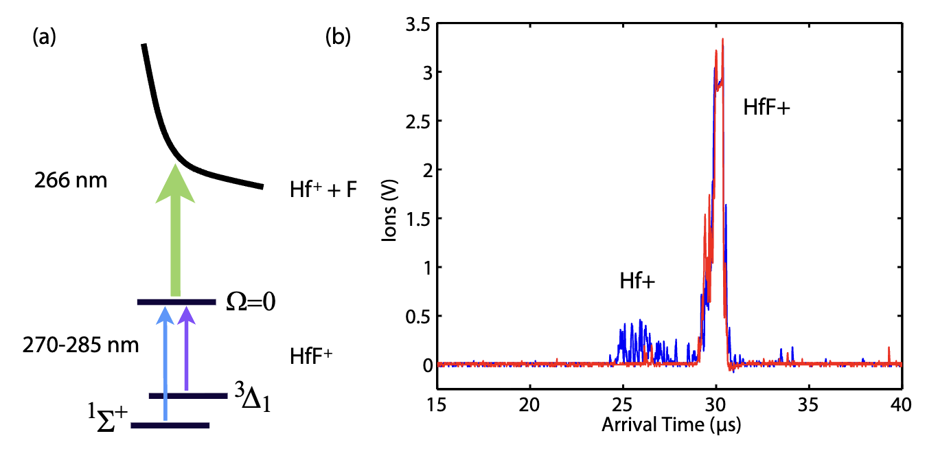 State-specific detection of trapped HfF$^+$ by photodissociation