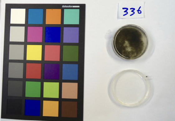 Predictive models using ``cheap and easy'' field measurements: Can they fill a gap in planning, monitoring, and implementing fecal sludge management solutions?