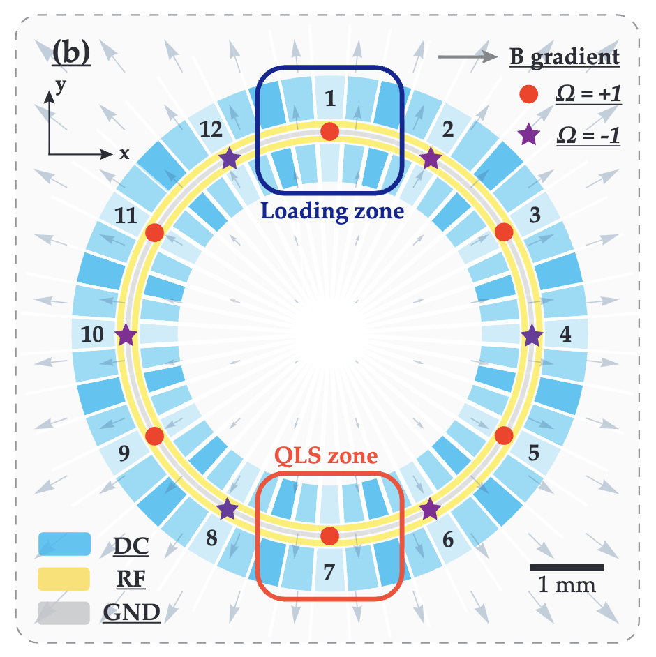 Quantum logic control and precision measurements of molecular ions in a ring trap: An approach for testing fundamental symmetries